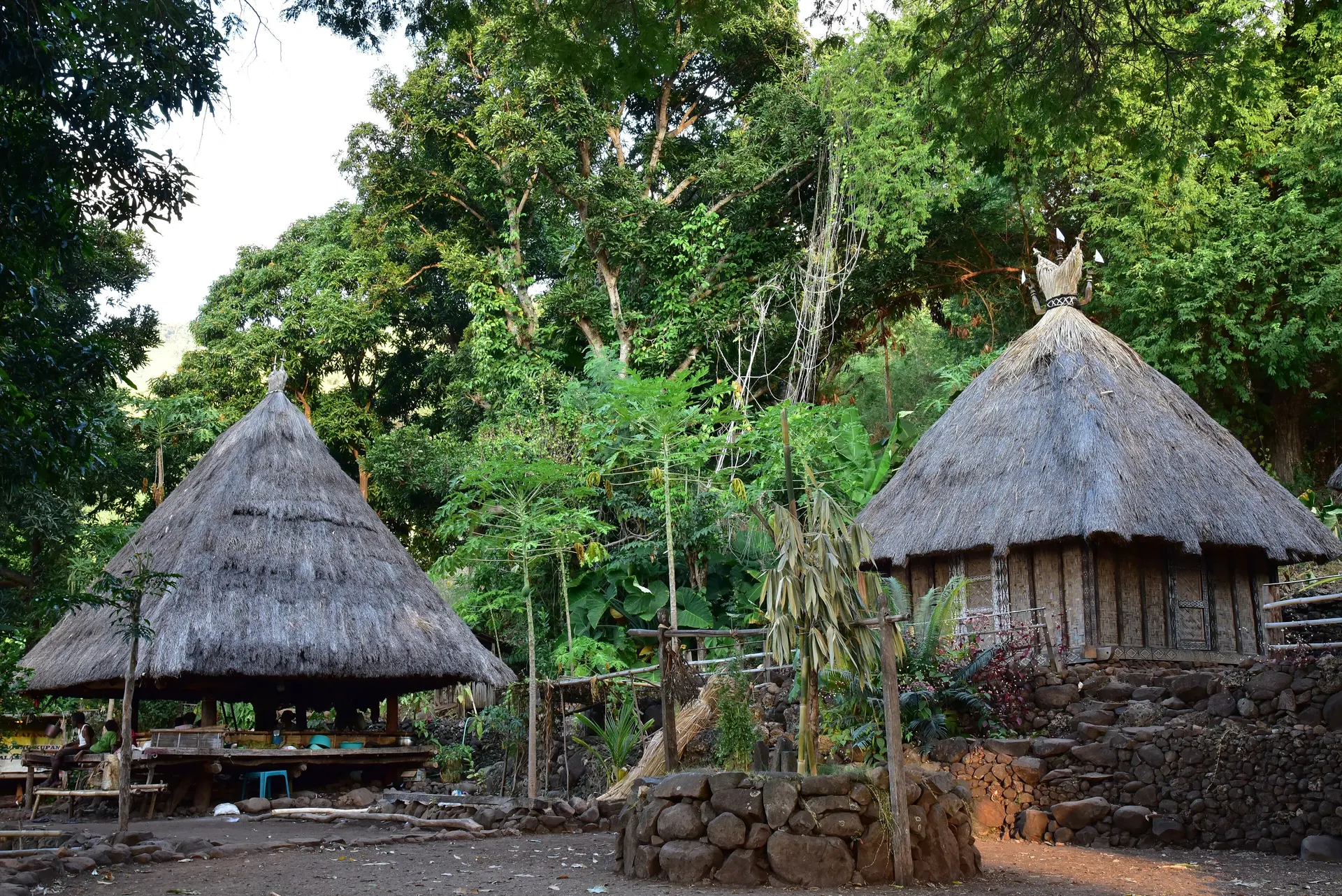 Traditional thatched houses in Takpala village on Alor