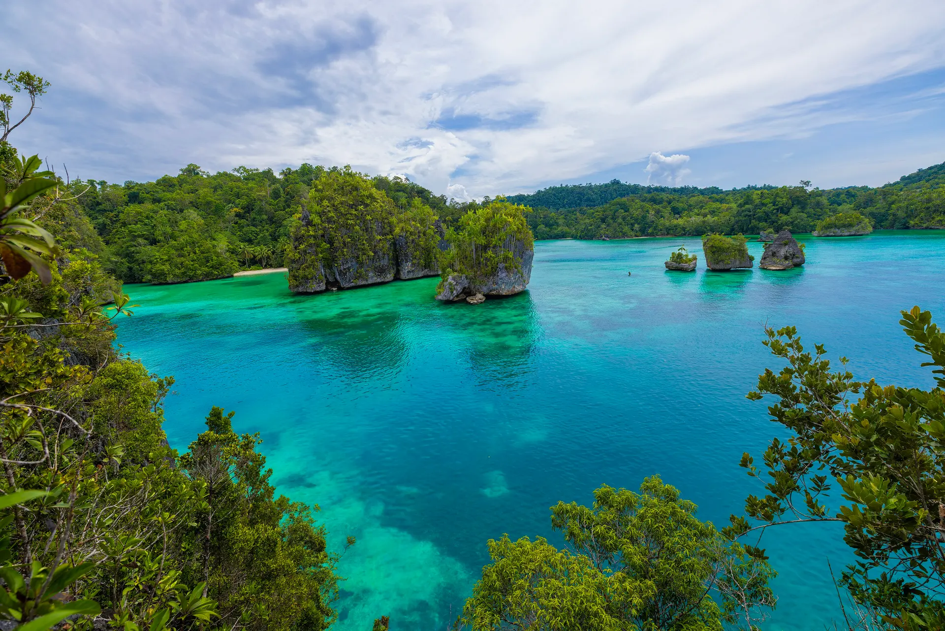 Bewaldete Karstfelsen und grünes Wasser in der Triton-Bucht, West-Papua