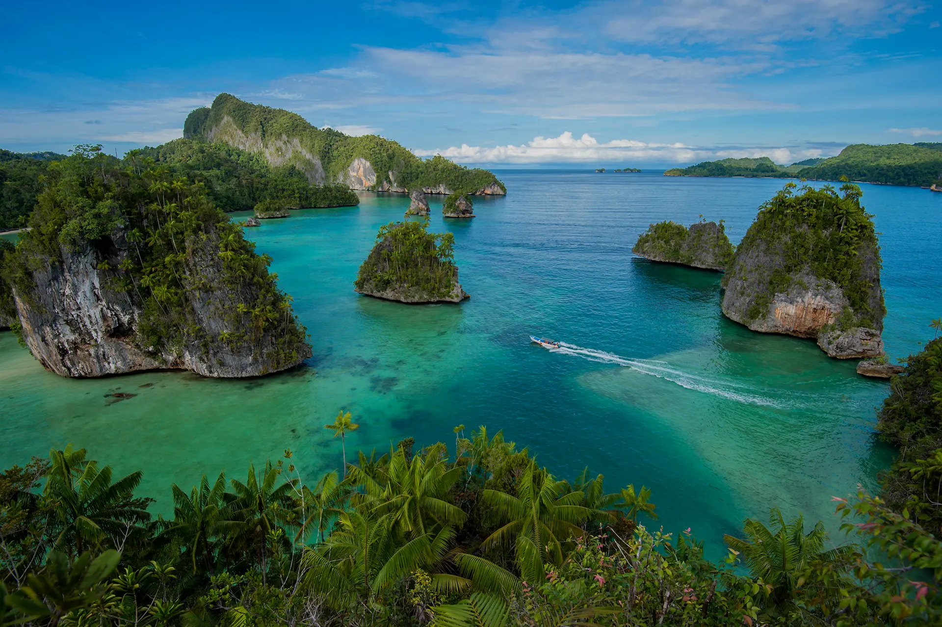 Forested limestone island in the waters of Kaimana, West Papua