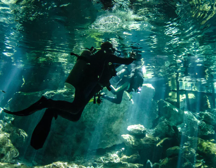 Diving opportunities in Komodo National Park