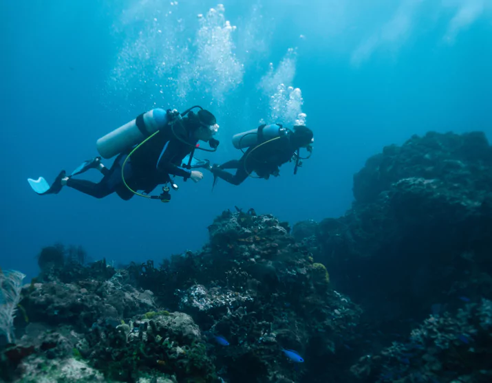 PADI certification courses in Komodo