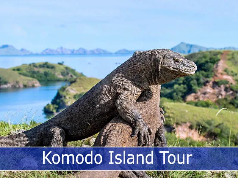 Komodo National Park