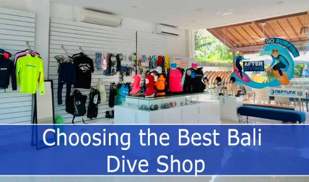Choosing the Best Bali Dive Shop