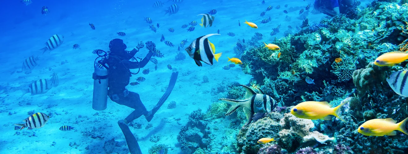 Bali Dive Trips