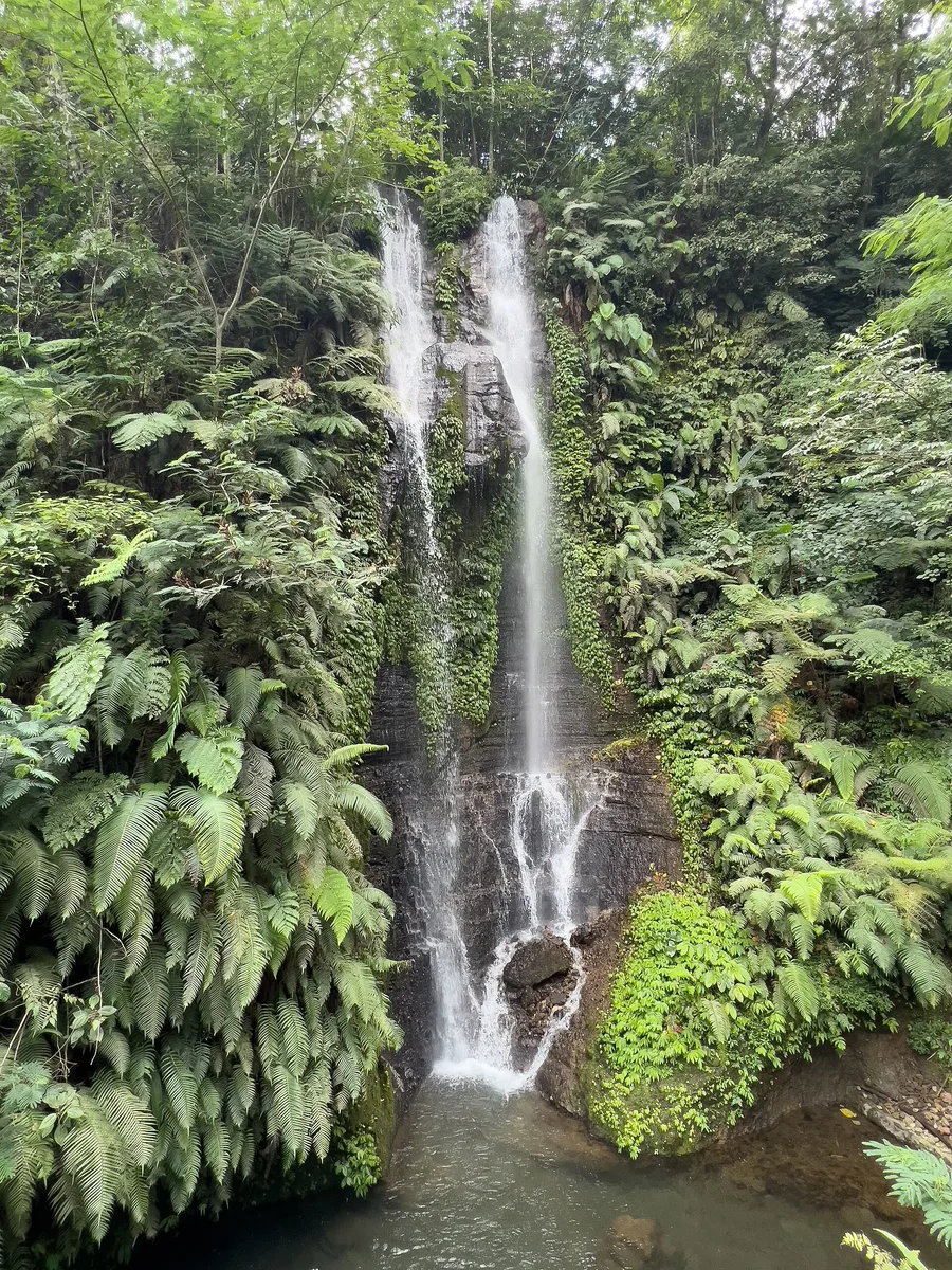 Munduk Tutub Waterfall in north Bali, a tall narrow waterfall falling down a dark rock face flanked by dense tree ferns and jungle vegetation.