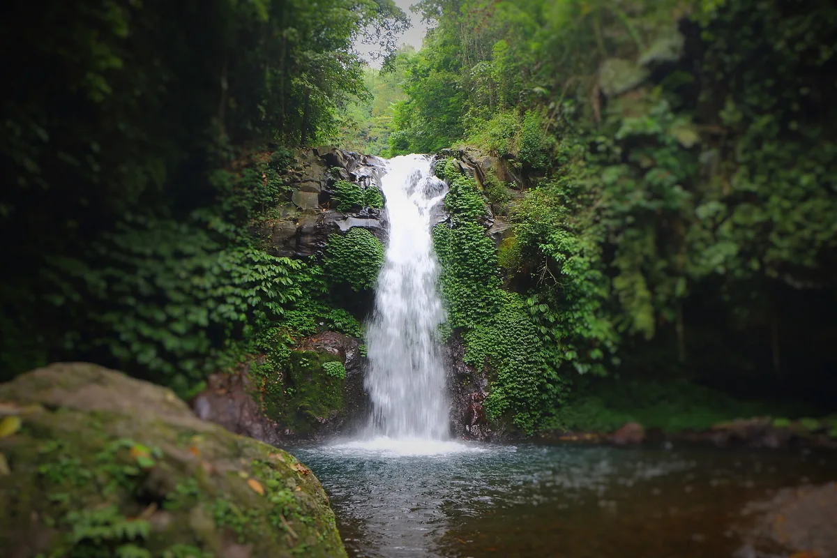 Gitgit Waterfall in Buleleng, north Bali, a single powerful column of white water dropping into a dark green plunge pool framed by steep jungle walls.