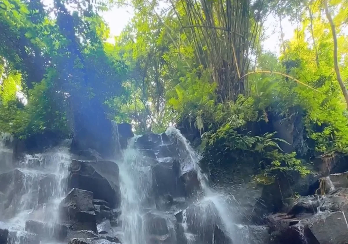 Kanto Lampo Waterfall in Gianyar, Bali, water fanning out in many parallel streams down a wide face of stepped black volcanic rock beneath overhanging bamboo.