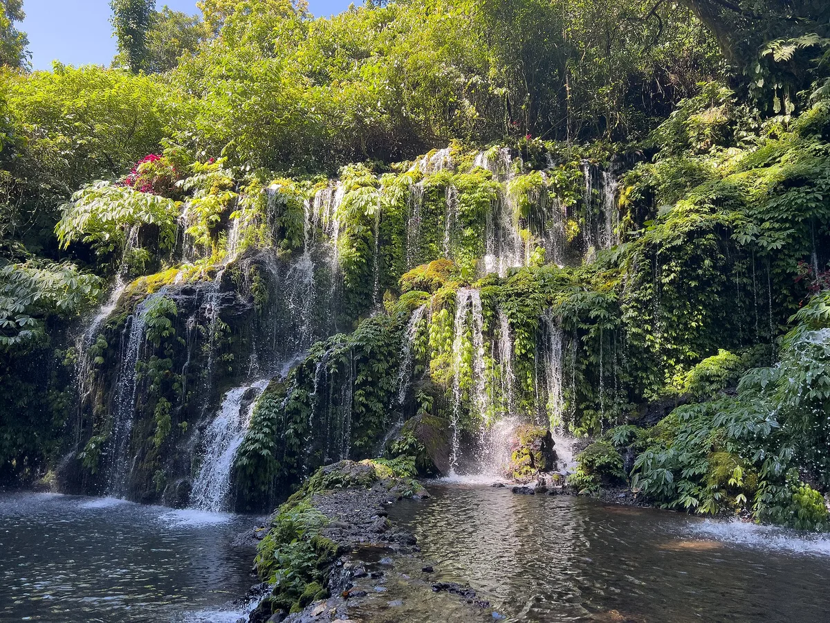 Banyu Wana Amertha Waterfall at Wanagiri, a wide curtain of dozens of small water streams falling over a mossy vine-covered rock ledge into a clear pool.