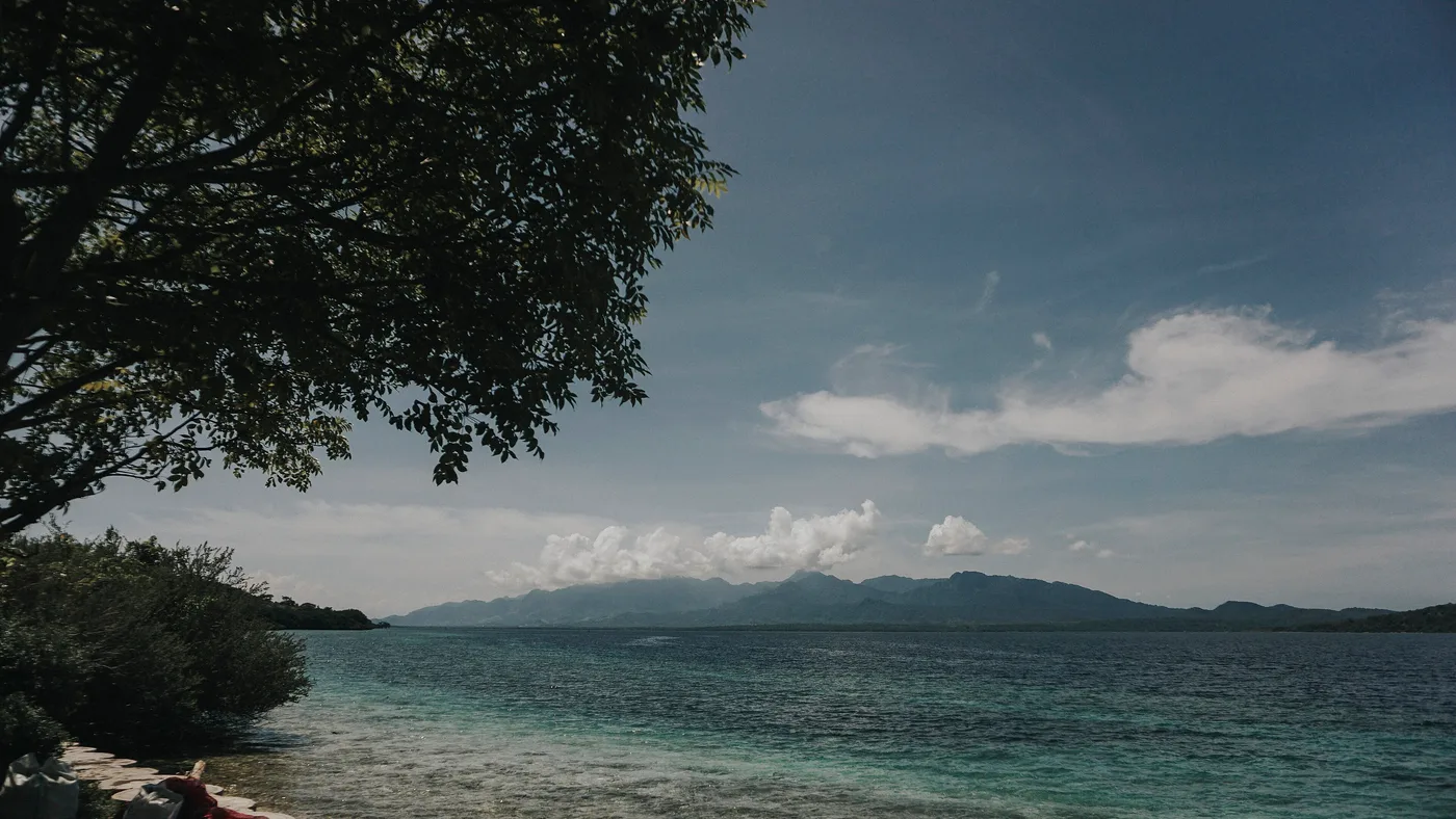 The view from the shore of Menjangan Island across clear shallow water to the mountains of West Bali National Park on the mainland, framed by a tree on the island's edge.