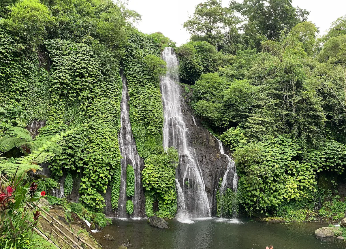 Banyumala Twin Waterfalls near Wanagiri, several streams of water fanning down a green vine-covered cliff into a shallow turquoise swimming pool.