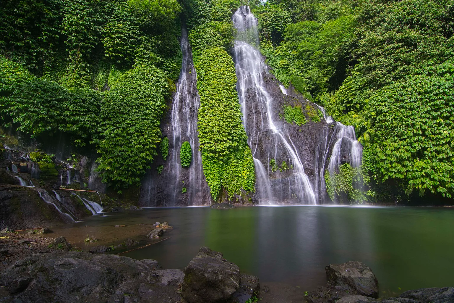 Banyumala Twin Waterfalls near Wanagiri in north Bali, two streams falling down a vine-covered rock face into a wide green plunge pool surrounded by jungle.