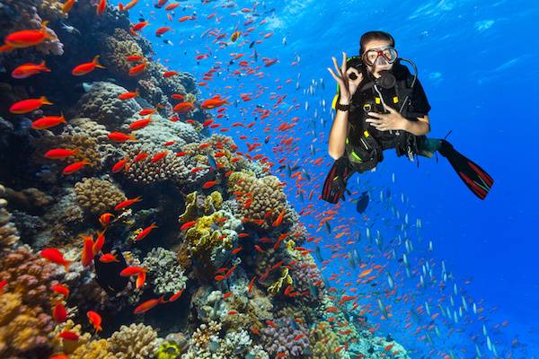 Get certified with the PADI diving course Bali