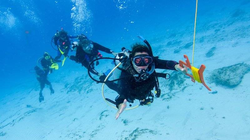 3 Days Diving Package In Bali