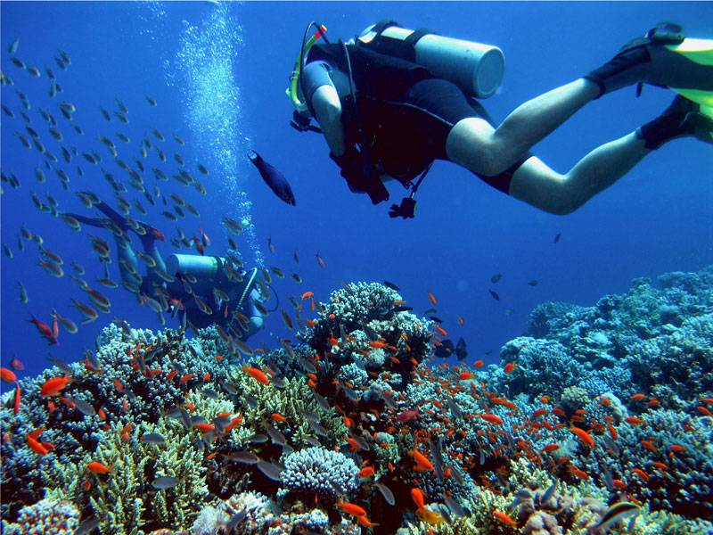 3 Days Diving Package In Bali