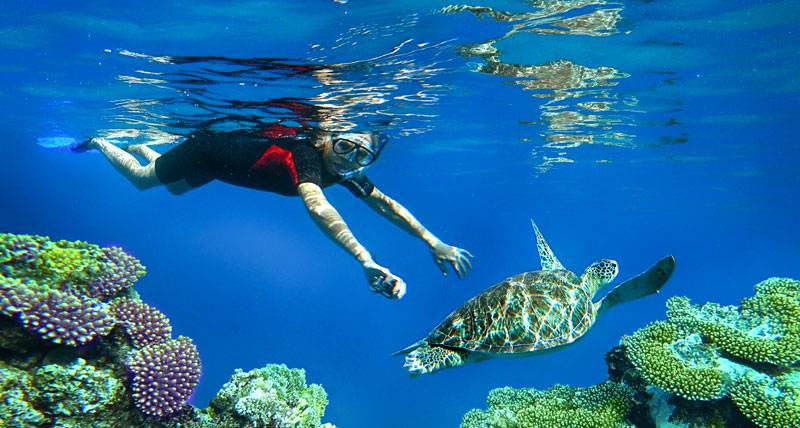 Snorkeling di Bali