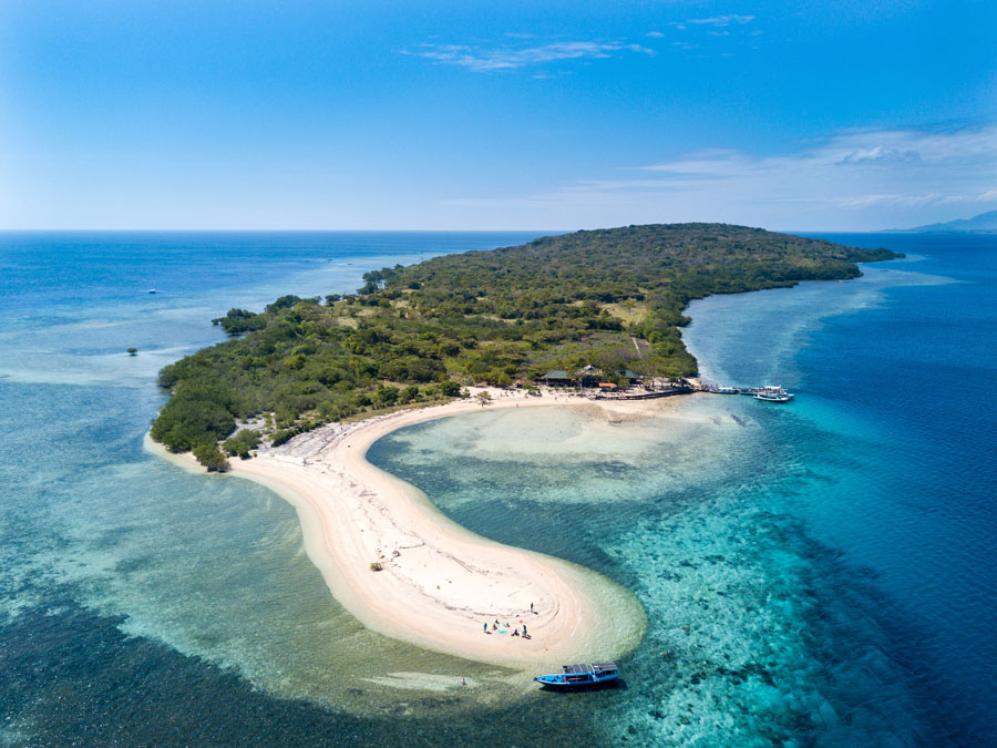 Menjangan Diving