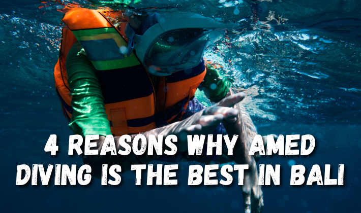 4 Reasons Why Amed Diving is the Best in Bali 1