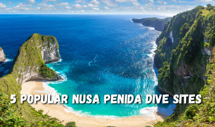 5 Popular Nusa Penida Dive Sites