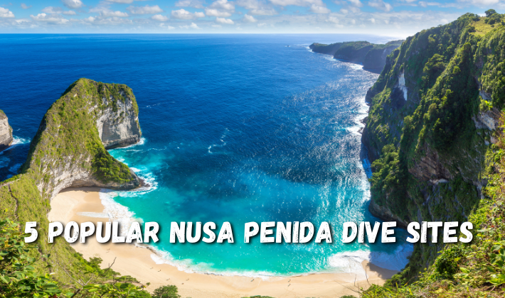 Top 5 Nusa Penida Dive Sites - Neptune Scuba Diving