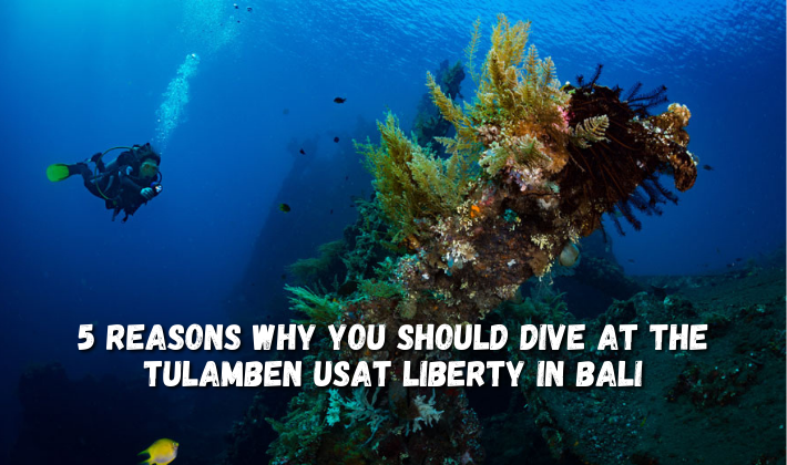 5 Reasons Why You Should Dive at the Tulamben USAT Liberty in Bali