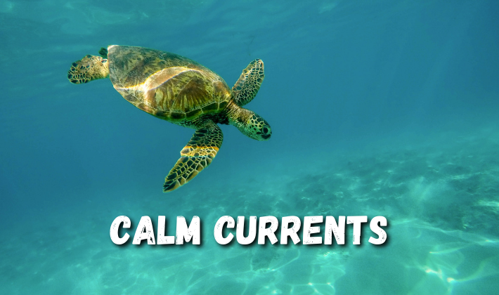 Calm Currents
