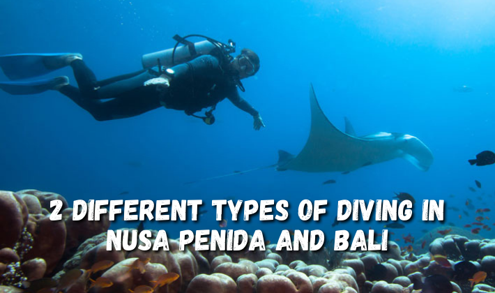 2 Different types of diving in Nusa Penida and Bali