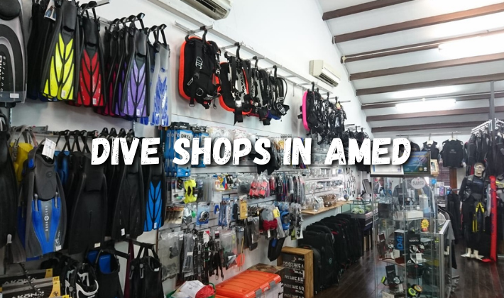 Dive shops in Amed