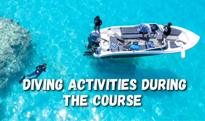 Diving activities during the course