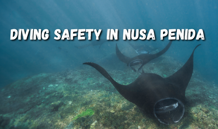 Diving safety in Nusa Penida