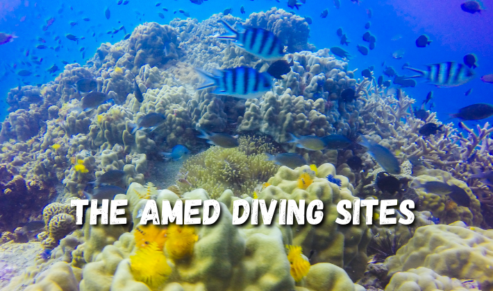 The Amed Diving sites
