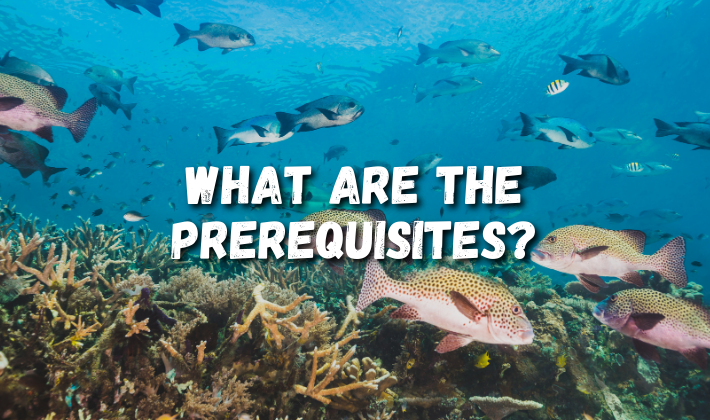 What are the prerequisites?