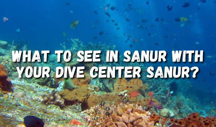 What to see in Sanur with your Dive Center Sanur?