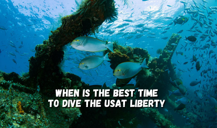 When is The Best Time To Dive the USAT Liberty 