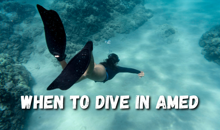 When to dive in Amed 1