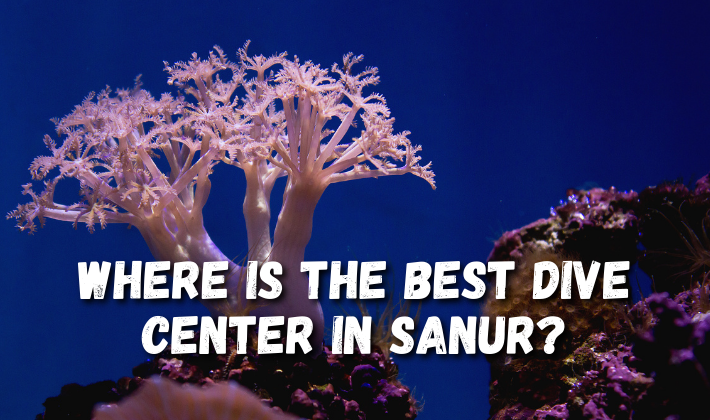 Where is the best dive center in sanur