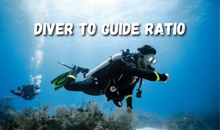 Diver to guide ratio
