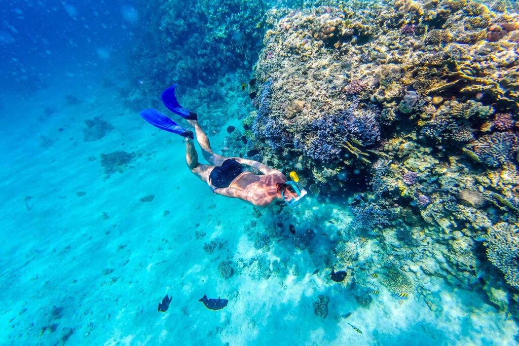 Snorkeling in Bali