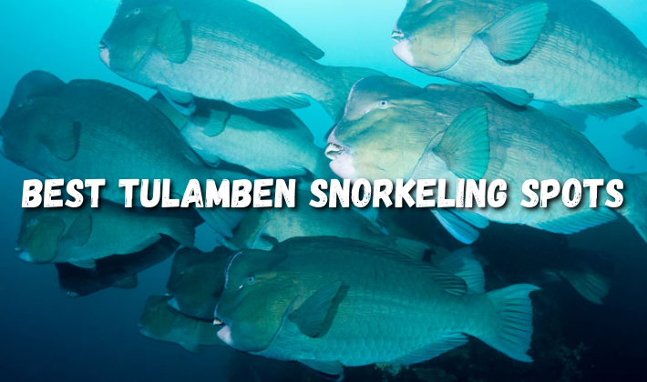 Best Tulamben snorkeling spots