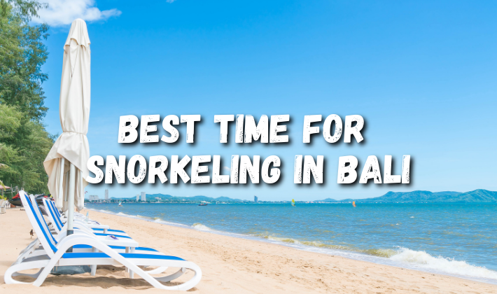 Best time for snorkeling in Bali