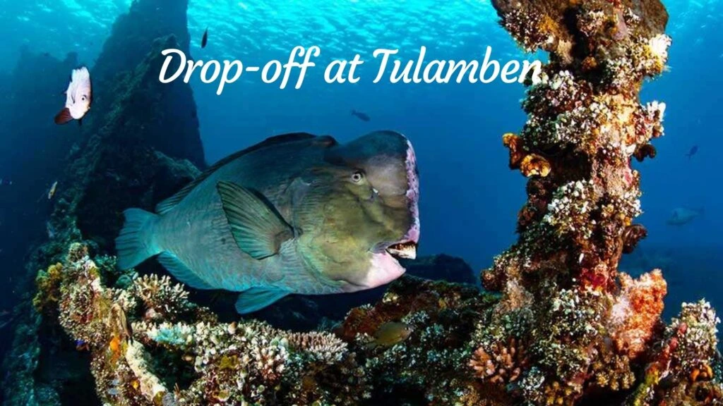 Drop-off at Tulamben