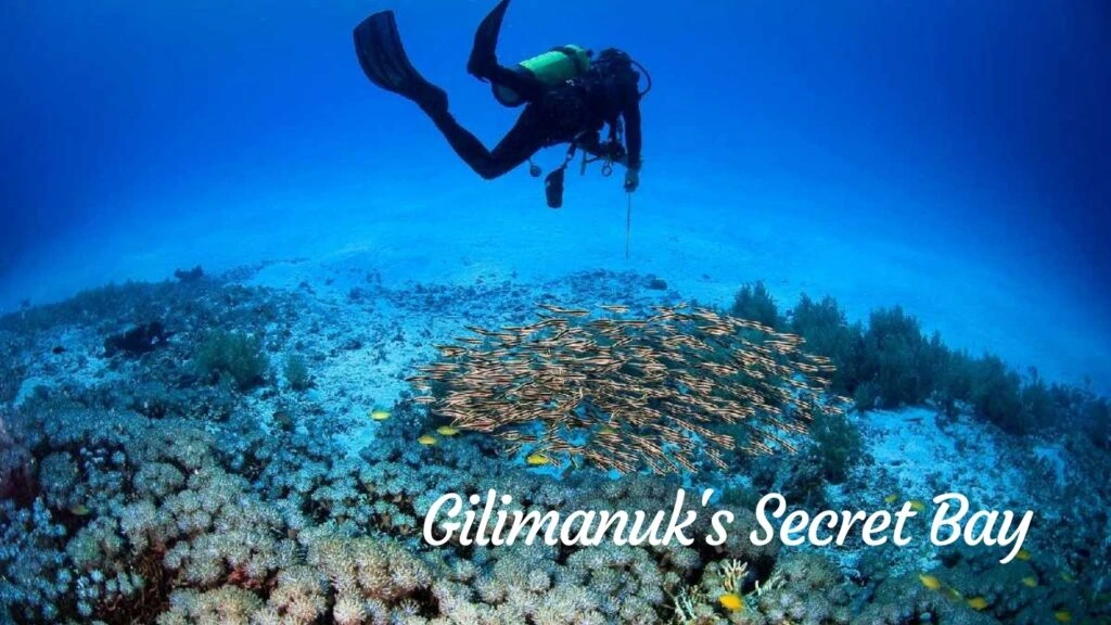 Gilimanuk's Secret Bay
