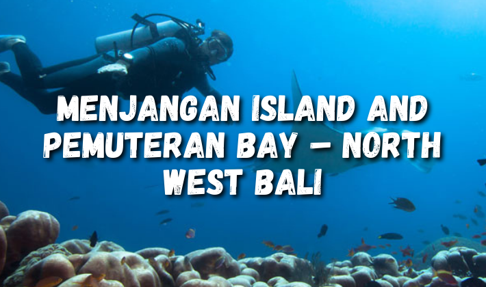 Menjangan Island and Pemuteran Bay – North West Bali