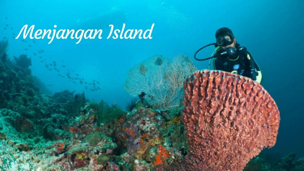 Menjangan Island