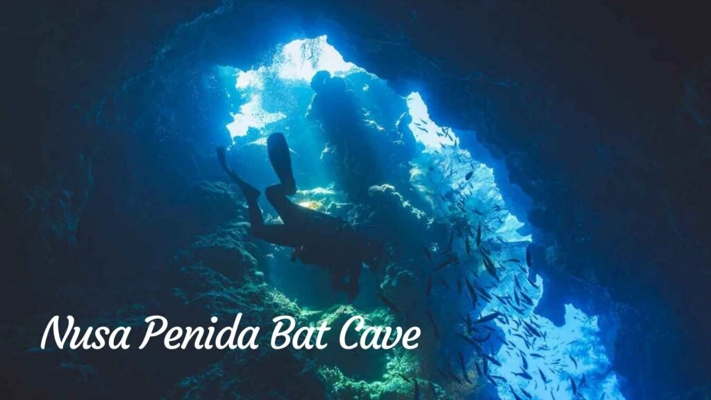 Nusa Penida Bat Cave
