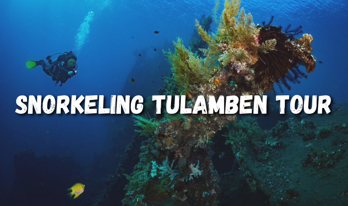 Snorkeling Tulamben Tour