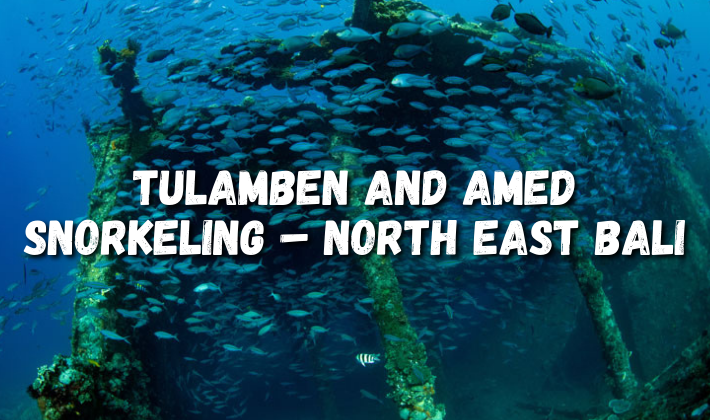 Tulamben and Amed snorkeling – North East Bali