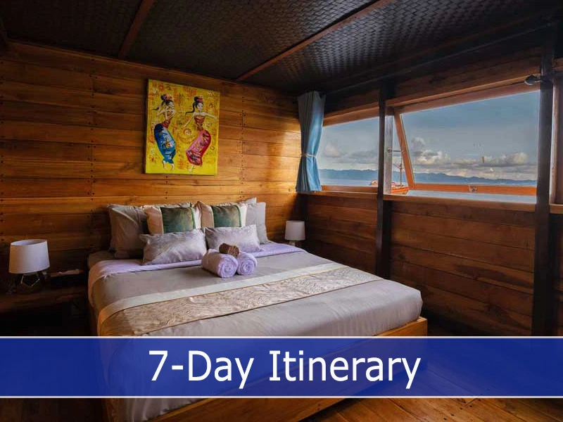 7 Day Itinerary