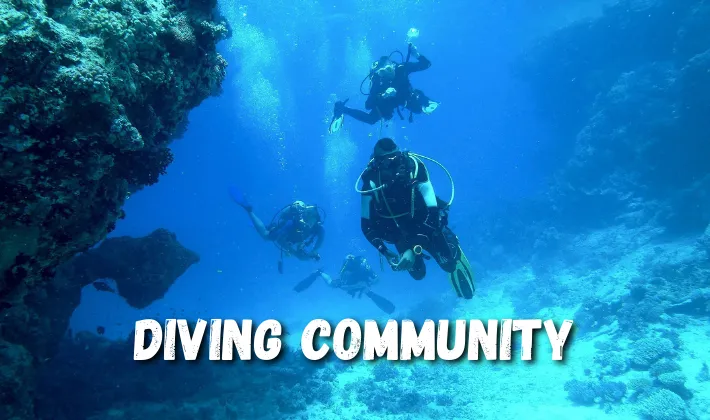 Amed Diving Community