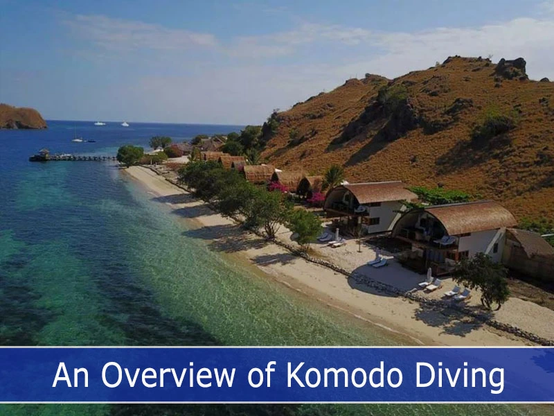 An Overview of Komodo Diving