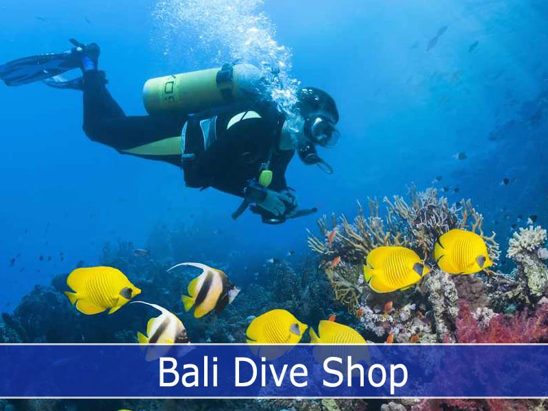 Bali Dive Shop
